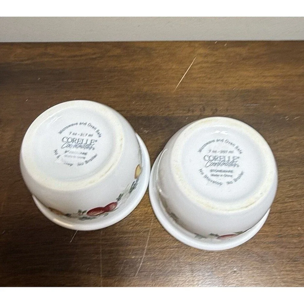 Corelle coordinates chutney